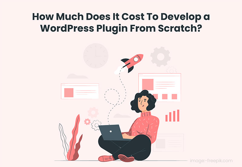 How Much Does It Cost To Develop a WordPress Plugin From Scratch